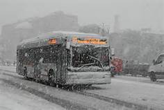 autobus neve