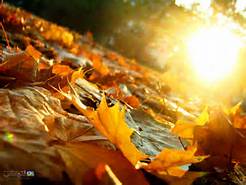 autunno sole