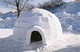 freddo igloo